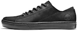 Buy Timberland Adventure 2.0 'Hitam' A22P3001