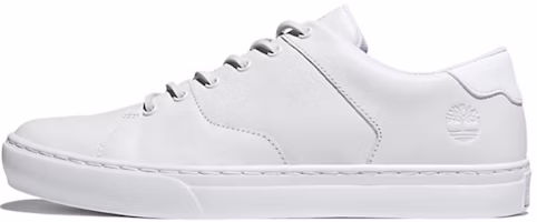 Timberland Adventure 2.0 'White' A4419100 Timberland Adventure 2.0 'White' A4419100