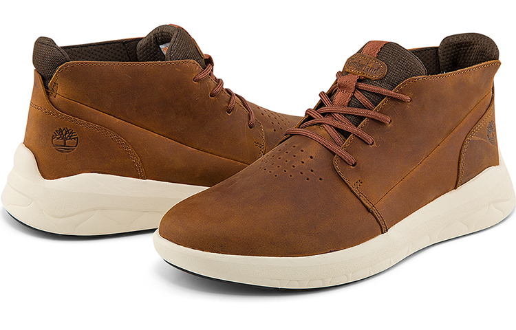 Purchase Timberland Bradstreet Greenstride Schoenen A2GV3W