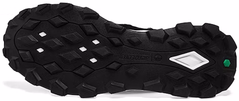 Purchase Timberland添柏蘭 Brooklyn 運動跑步鞋 寬版 黑