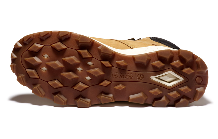 Purchase Sneakers Tinggi Timberland Brooklyn 'Wheat' A41XX231