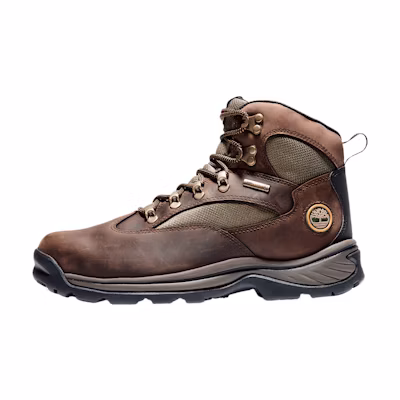 Timberland Chocorua Trail Waterproof Mid Hiking Boot 'Medium Brown'