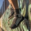 Sizing Timberland Greenstride Solar Wave LT 'Kelabu Hitam' A2DA6033
