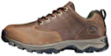Buy Timberland Maddsen Low 'Brown' 2060567-T3
