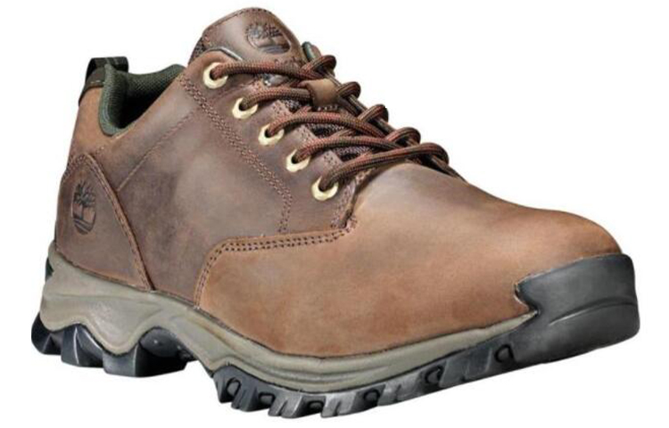 Shop Timberland Maddsen Low 'Brown' 2060567-T3