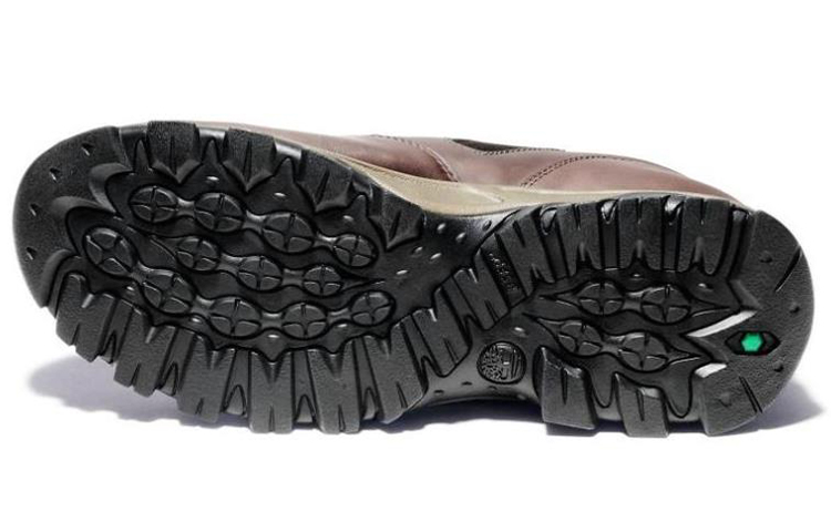 Purchase Timberland Maddsen Low 'Dark Brown' A1QLS201