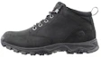 Buy Timberland添柏瀾 Mt. Maddsen 工作靴 黑色
