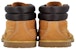 Timberland Premium 'Honey' Lelaki/Wanita Kasut Bot TB0A2QC9231SHONEY
