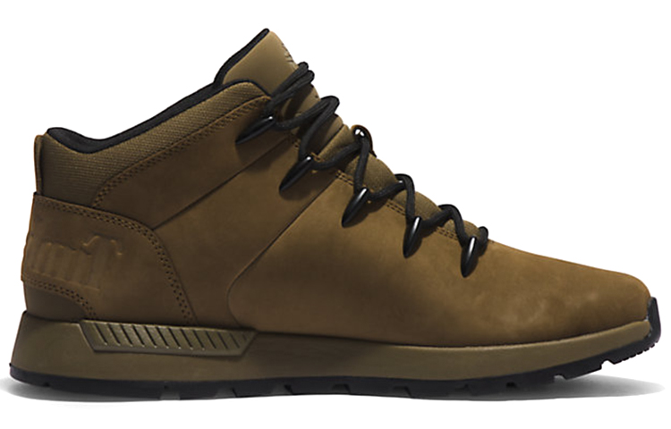 Order Timberland Retro Kasual But Pendek 'Green Outdoor' A2QSH327