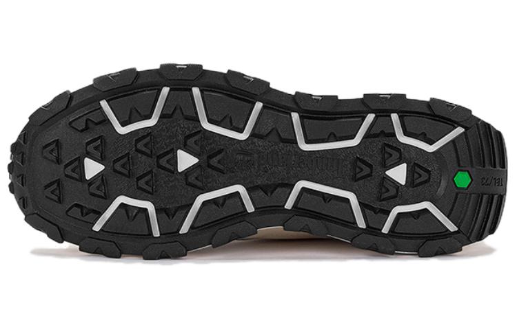 Shop ティンバーランド レトロ ロー "ライトトープ" A67A9W