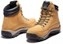 Purchase Timberland Rime Ridge 'Wheat' 2402R231
