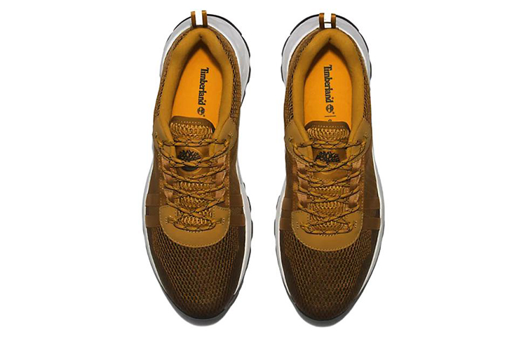 Shop Timberland Solar Wave LT Chaussures A2K92231