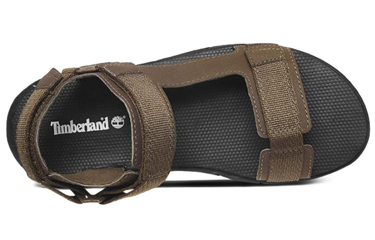 Lookbook 添柏岚温德姆小径凉鞋‘棕色窄版’ A1VVY