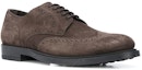 Order TOD'S Kasut Brogue 'Coklat' XXM62C00C10RE0S800