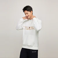 Details for Tommy Hilfiger Casual Hoodie with American Style Embroidery Pullover 78JA837