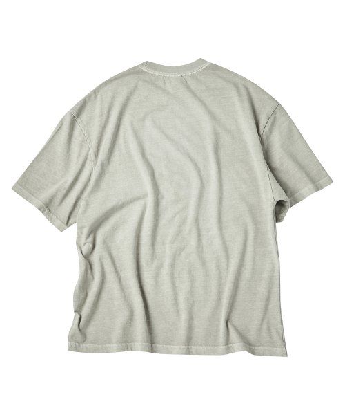 Order TRAVEL Reason Trail Pigment Short Sleeve Tee Beige TRTHSURS41UE1
