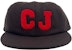 Travis Scott CJ Hat 'Brown'