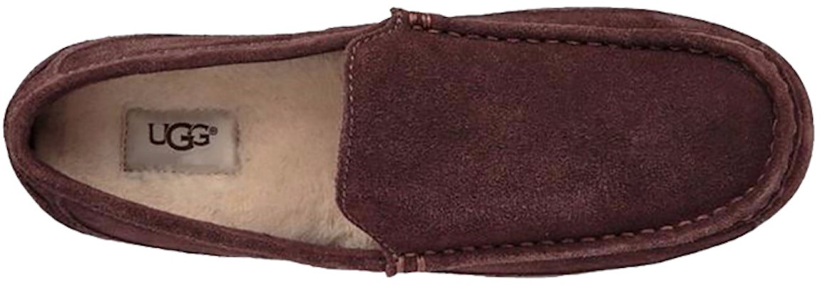 UGG Alder 一腳蹬運動休閒鞋 深咖啡色 Shop UGG Alder 一腳蹬運動休閒鞋 深咖啡色