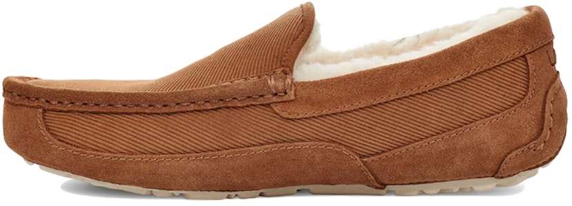 Zapatos Casuales Deportivos UGG Ascot. 1112437-CHE Buy Zapatos Casuales Deportivos UGG Ascot. 1112437-CHE
