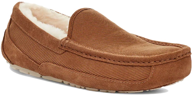 Kasut Santai Sukan UGG Ascot 1112437-CHE Lookbook Kasut Santai Sukan UGG Ascot 1112437-CHE