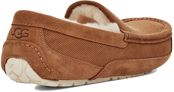 Zapatos Casuales Deportivos UGG Ascot. 1112437-CHE Shop Zapatos Casuales Deportivos UGG Ascot. 1112437-CHE