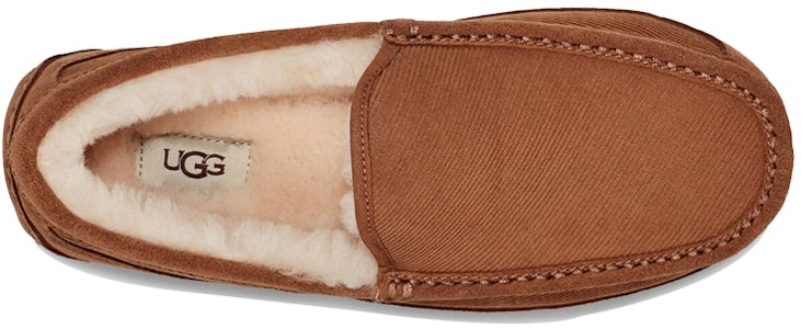 Zapatos Casuales Deportivos UGG Ascot. 1112437-CHE Purchase Zapatos Casuales Deportivos UGG Ascot. 1112437-CHE