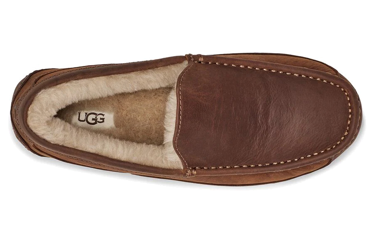 Shop UGG Ascot Leder ''Chestnut'' Herrenschuhe 1103889-COG