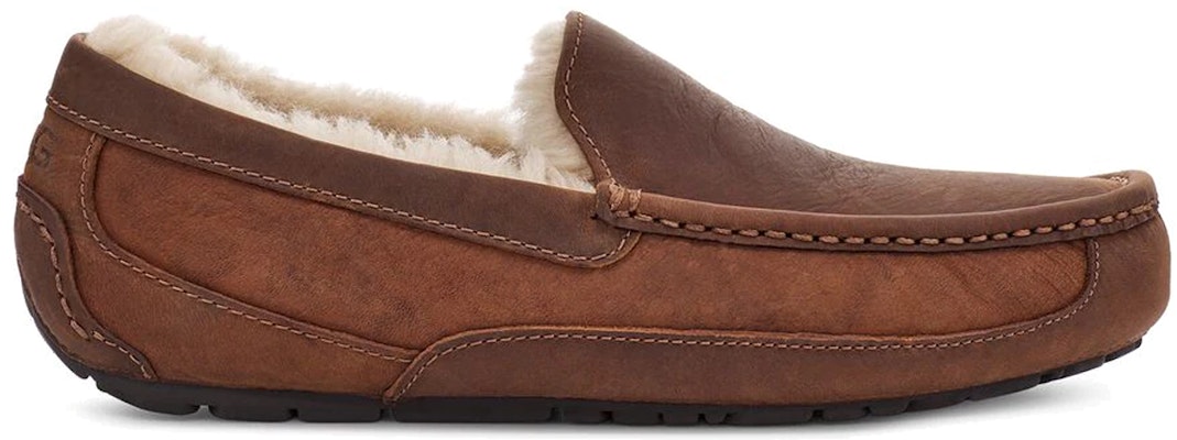 UGG Ascot Kulit 'Chestnut' 1103889-COG Order UGG Ascot Kulit 'Chestnut' 1103889-COG