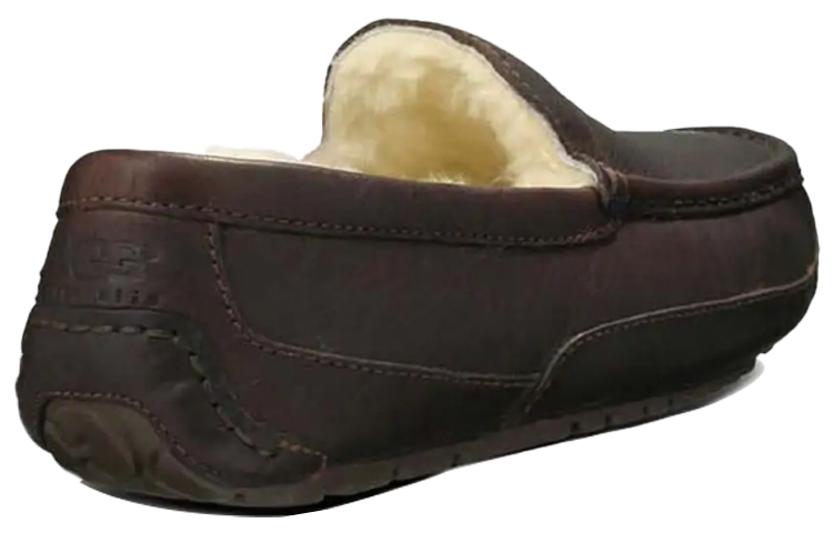 Shop UGG Ascot Slipper Kulit 'Coklat' 5775-CTEA