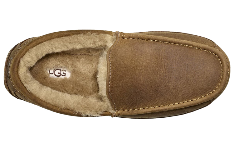 UGG Ascot Matte Slipper Tan 圖 5