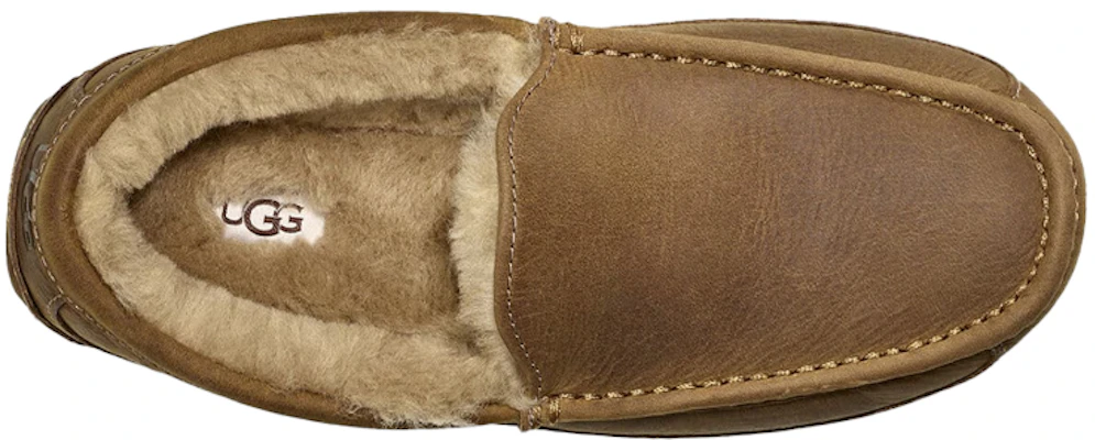 UGG アスコット マット スリッパ タン 1103889-TAN Purchase UGG アスコット マット スリッパ タン 1103889-TAN