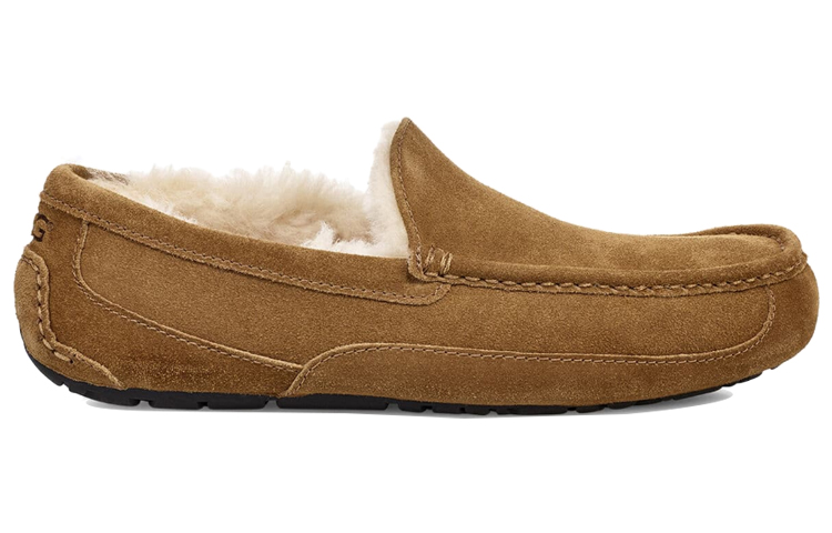 Lookbook UGG Ascot Pantoufle ''Chestnut Doublée en Laine'' 1101110-CHE