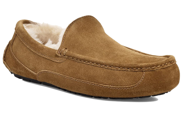 Shop UGG Ascot Pantoufle ''Chestnut Doublée en Laine'' 1101110-CHE