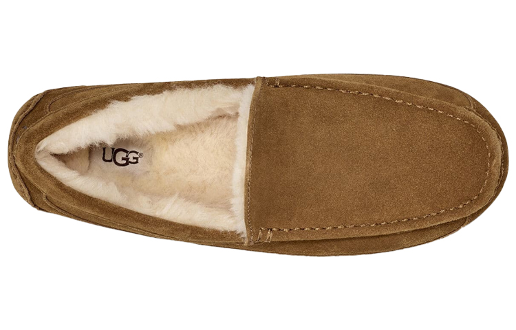 Details for UGG Ascot Pantoufle ''Chestnut Doublée en Laine'' 1101110-CHE