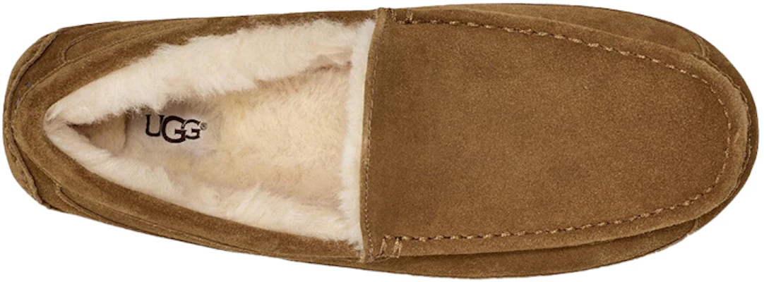 UGG Ascot Pantoufle ''Chestnut Doublée en Laine'' 1101110-CHE Details for UGG Ascot Pantoufle ''Chestnut Doublée en Laine'' 1101110-CHE