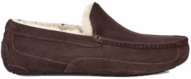 Lookbook UGG Ascot 咖啡色拖鞋 1101110-ESP