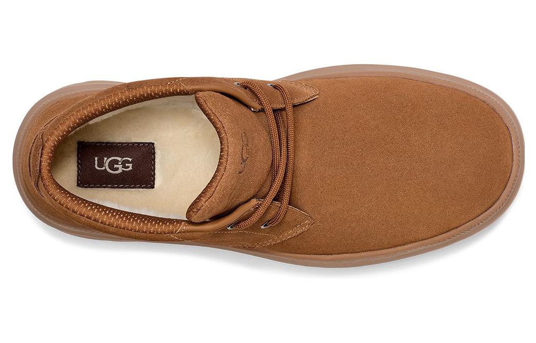 Purchase UGG Burleigh Chukka Boot 'Chestnut' Sepatu Boot Coklat Tua Pria 1151773-CHE