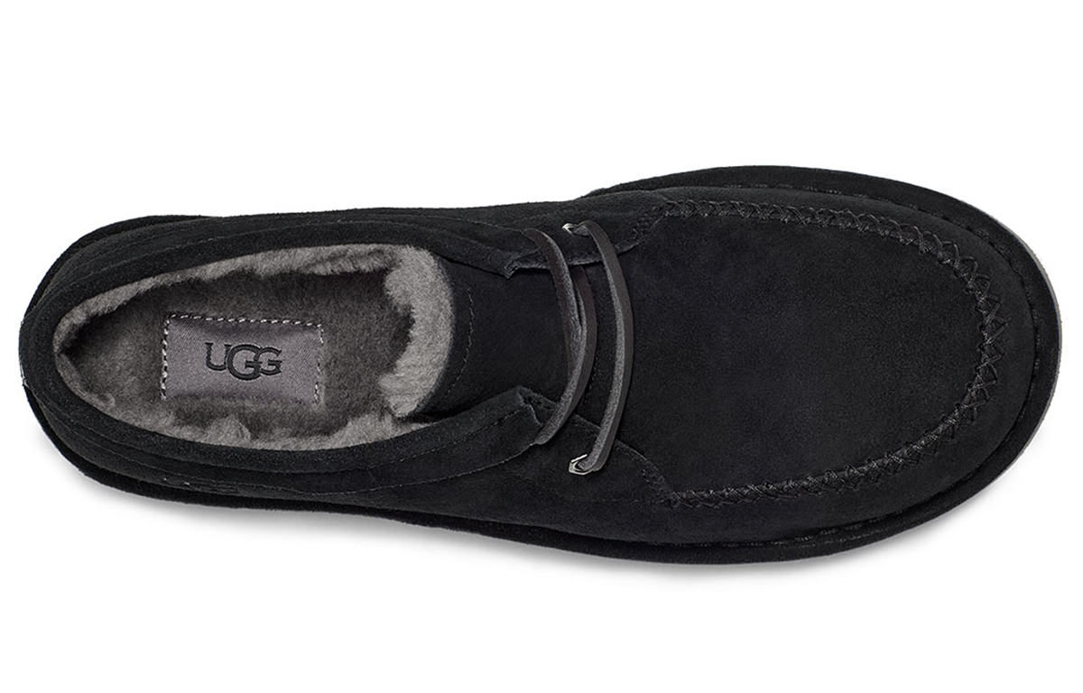 Purchase UGG Campout Lace Low Kurzstiefel Schwarz 1112411-BLK