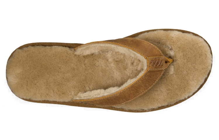 Shop UGG Classic Sandal 'Chestnut' 1011065-CHE