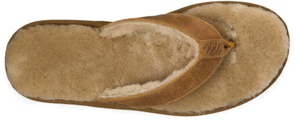 UGG クラシックサンダル(チェスナット) 1011065-CHE Shop UGG クラシックサンダル(チェスナット) 1011065-CHE