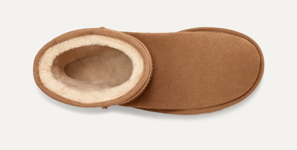 Purchase UGG 클래식 숏 5800