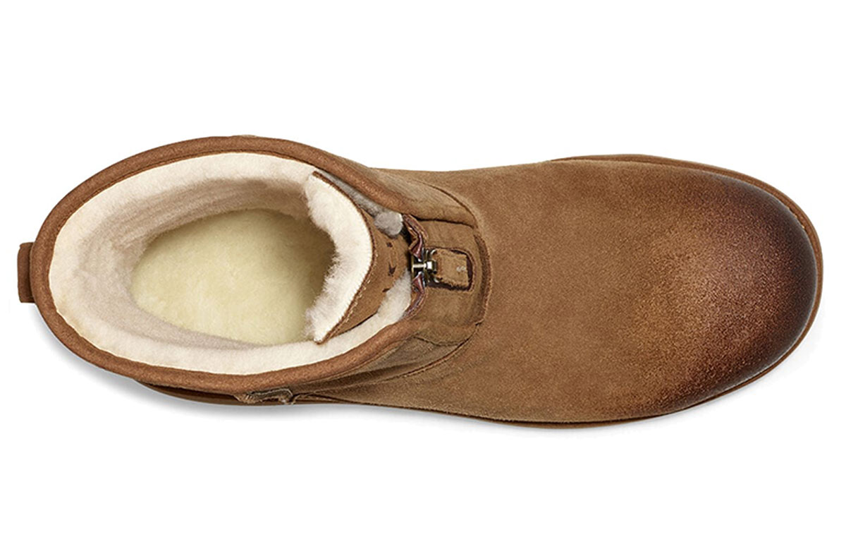 Purchase UGG 클래식 숏 집업 부츠 (밤색) 1106438-CHE