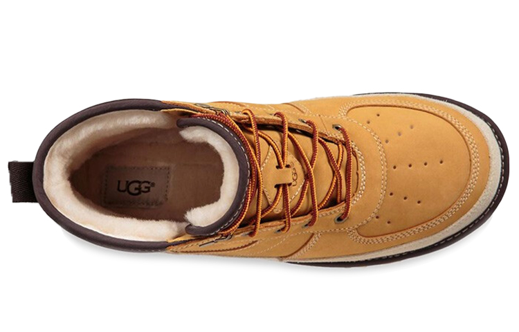 Purchase UGG Highland High Top Lacing 1097089-WHEA