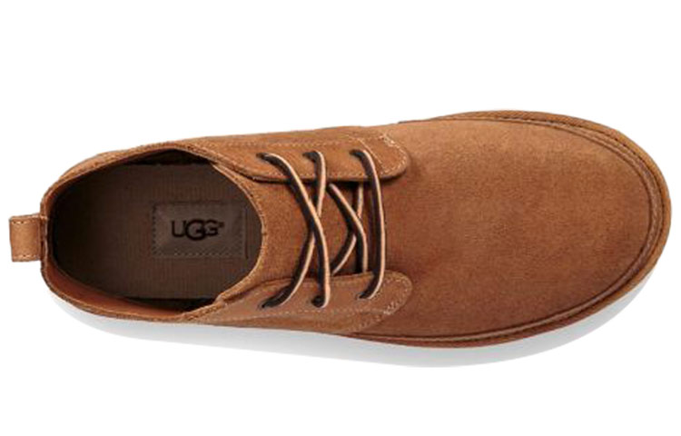 Purchase UGG Neumel Ungefüttert Leder Schnürstiefel 1020369-CHE