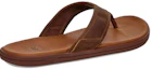 Shop UGG Selipar Kulit Seaside Flip Coffe Lelaki 1102690-LUG