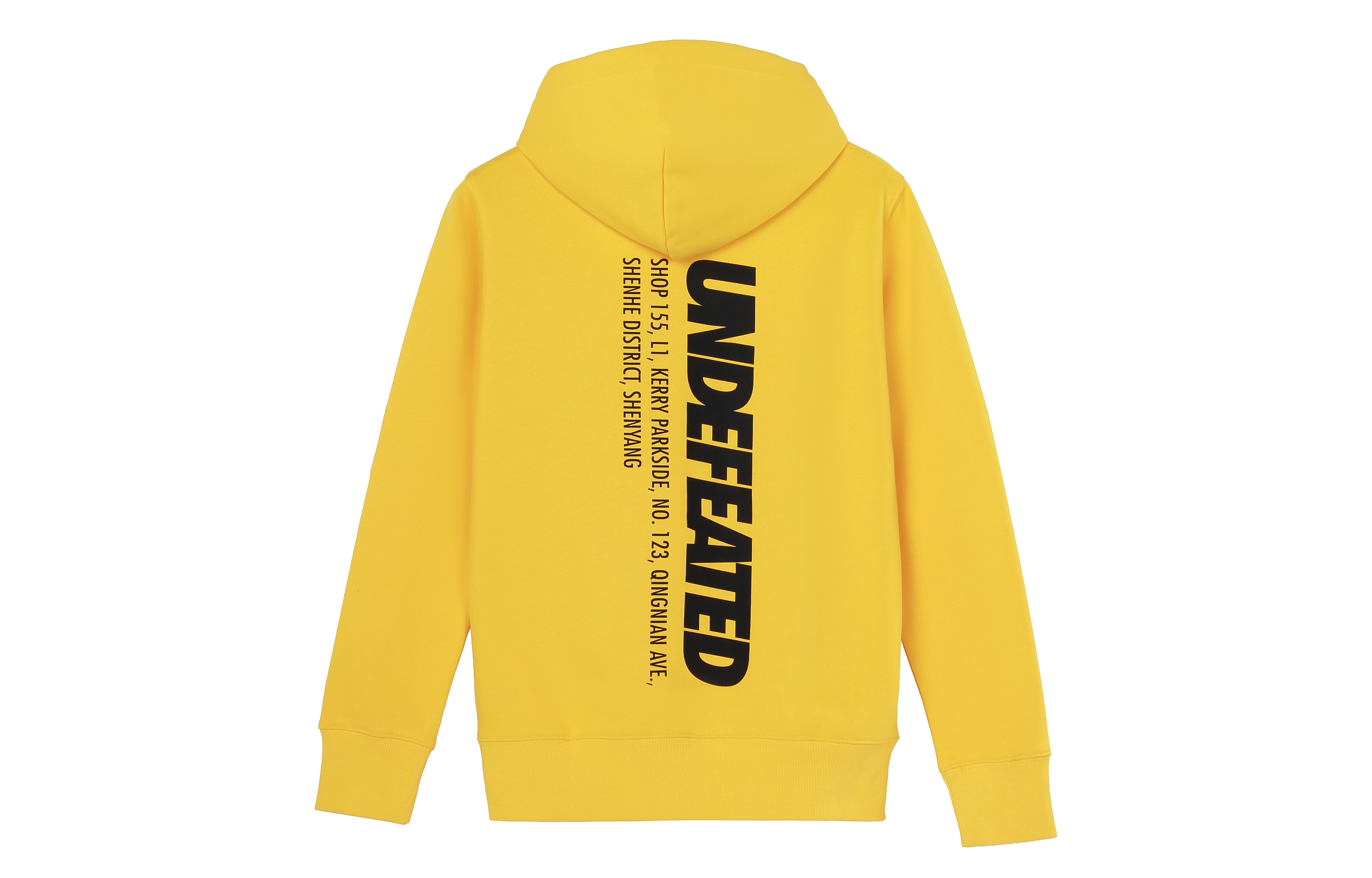 UNDEFEATED Logo Print Fleece Hoodie for Men UNDSWSYODMDPD