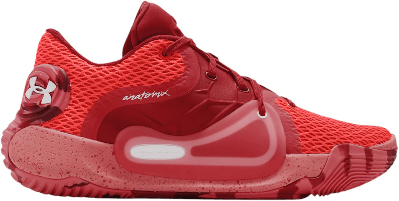 Anatomix spawn sales