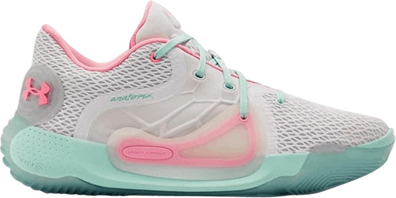 Anatomix 2024 spawn 2