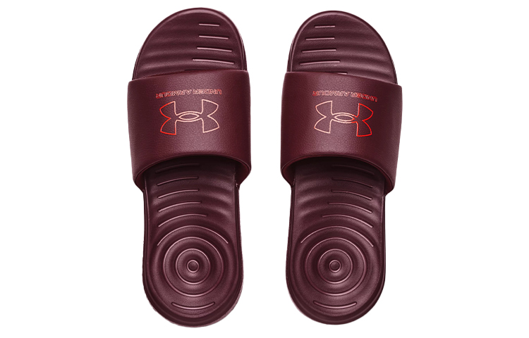 Shop 安德玛 Ansa 固定拖鞋 '深栗色' 3023761-500