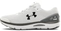 Buy Under Armour Charged Gemini 'Putih Grafit' 3023276-100